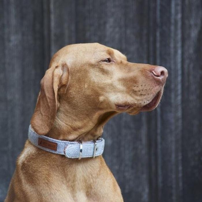 Sweet William - Tweed Dog Collar - Grey-Sweet William-Love My Hound