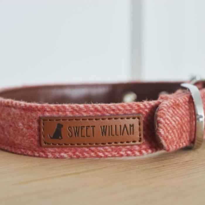 Sweet William - Tweed Dog Collar - Orange-Sweet William-Love My Hound