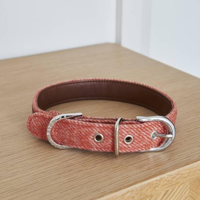 Sweet William - Tweed Dog Collar - Orange-Sweet William-Love My Hound