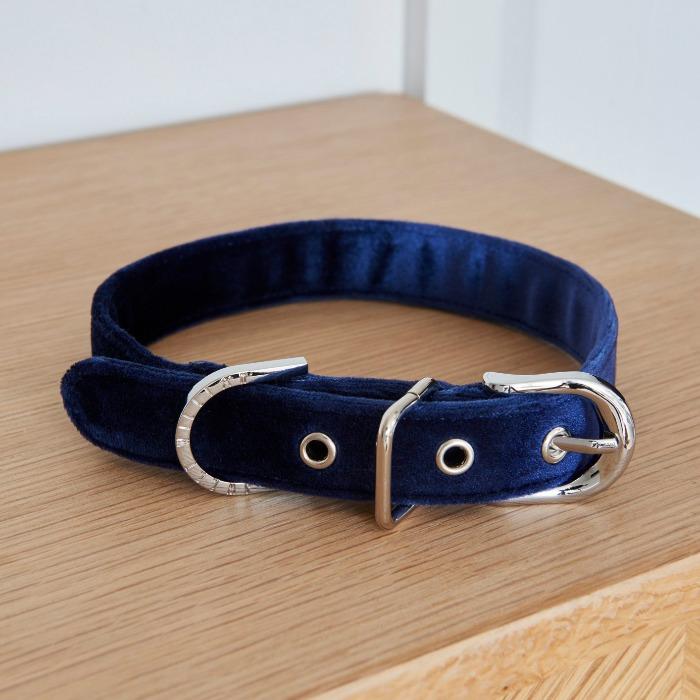Sweet William - Velvet Dog Collar - Navy