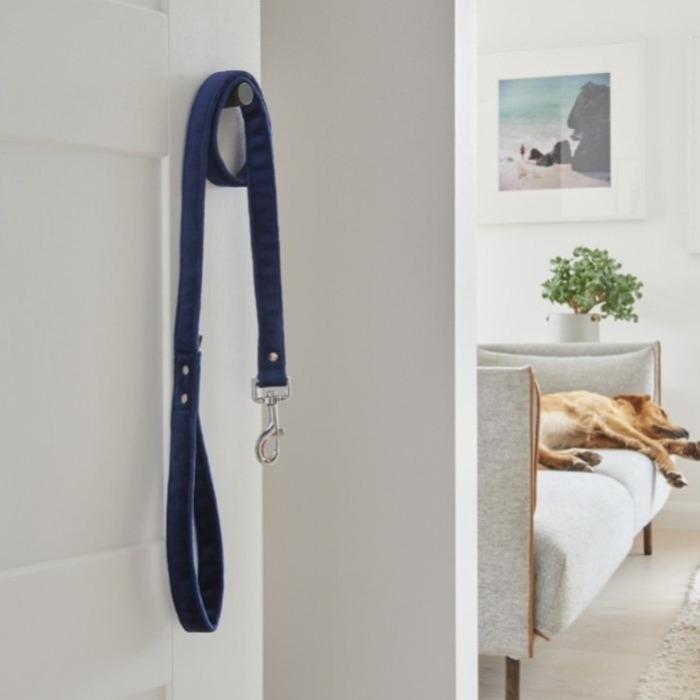 Sweet William - Velvet Dog Lead - Navy